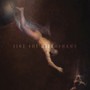 Through Aureate Void - Five The Hierophant