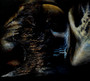 Imperative Imperceptible Impulse - Ad Nauseam