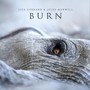 Burn - Lisa Gerrard  & Jules Maxwell