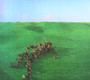 Bright Green Field - Squid