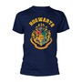 Hogwarts _TS80334_ - Harry Potter