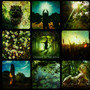 Stranded In The Green - Saturnia