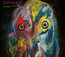 Sweep It Into Space - Dinosaur JR.
