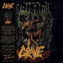 Morbid Ascend - Grave