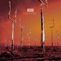 Origin Of Anniversary Remixx - Muse
