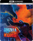 Godzilla vs. Kong - Movie / Film Godzilla vs. Kong - Movie / Film