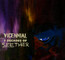 Vicennial: 2 Decades Of Seether - Seether