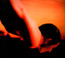 On The Sunday Of Life - Porcupine Tree