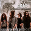 Hail To The Heroes - Girish & The Chronicles