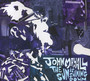 Sun Is Shing Down - John Mayall
