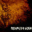 The Healing Process - Despised Icon