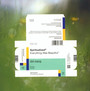 Everything Was Beautiful - Spiritualized