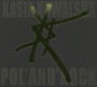 Pol'and'rock 2021 - Kasia Kowalska