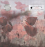 In The Afternoon - L'altra