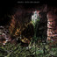 Into The Grave - Grave