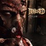 Asylum Cave - Benighted