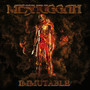 Immutable - Meshuggah