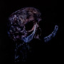 Plague God - Absent In Body