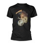 Big Me Globe _TS80334_ - Foo Fighters