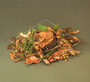 Forest Floor - Fergus McCreadie