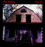 Only Life - Feelies