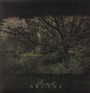 Raspail - Arcana   
