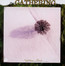 Nighttime Birds - The Gathering Nighttime Birds - The Gathering
