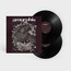Circle - Amorphis