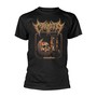 Starvation _TS80334_ - Crypta