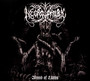 Womb Of Lilithu - Necrophobic
