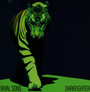 Darkfighter - Rival Sons