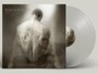 Steal The Light - Omnium Gatherum