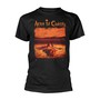 Distressed Dirt _TS803341446_ - Alice In Chains