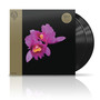 Orchid - Opeth