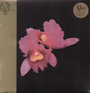 Orchid - Opeth