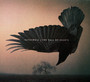 Fall Of Hearts - Katatonia