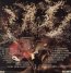 Intoxicated Women - Mick Harvey