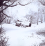 SZNZ: Winter - Weezer