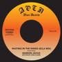 Waiting In The Wings - Marion Javius