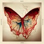Post - Joep Beving