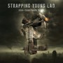 1994-2006 Chaos Years - Strapping Young Lad