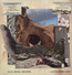 Walk Around The Moon - Dave  Matthews Band