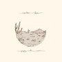 Appaloosa Bones - Gregory Alan Isakov 