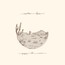Appaloosa Bones - Gregory Alan Isakov 