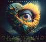 Look At You Now - The Flower Kings 