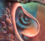Meddle Reimagined - Pink Floyd