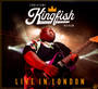 Live In London - Christone Ingram  -Kingfish-