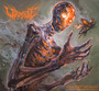 Almost Human - Wormhole