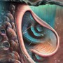 Meddle Reimagined - Pink Floyd