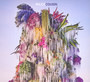 Cousin - Wilco